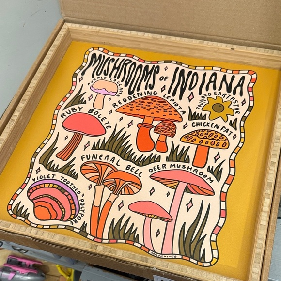 Mushrooms of Indiana by Doodle by Meg Framed Art Print Deny Designs Square Tray - Picture 1 of 7